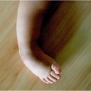 일광보조기 이미지