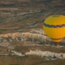 화이트벨리 이미지