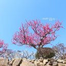 김상만농장 이미지