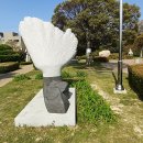 중앙공원 광장 이미지