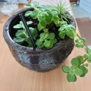 춘포보건지소 이미지