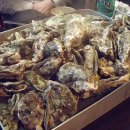 해물왕거제도굴구이 이미지