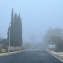 카운티에비뉴 앞 | LA 그리피스 파크 봉사활동 후기 🦅 아이와 함께 새 보호구역(Bird Sanctuary) 낙엽 청소하기