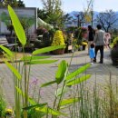 들꽃하우스 이미지