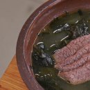 무양지 티스토리