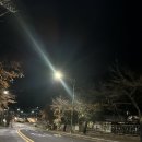 2020-주146 | 단풍이 절정이던 토요일 새벽 보문산 트레일러닝 기록 2025.11.15