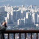 새성남공인중개사사무소 이미지