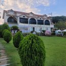 평생 사랑해 줄 개 애견펜션 이미지