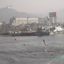 외포리선착장 이미지