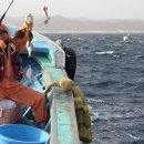 서석목장 이미지