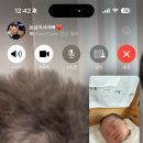 우먼피아 산후조리원 민락점 이미지