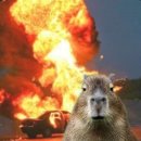 쿵짝 두 번째 이야기 - 얼쑤 | [영화 리뷰] 시라트 줄거리/결말/후기: 죽음의 사막에서 테크노 살풀이 한 판 얼쑤!