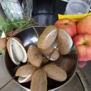 산골초가 이미지