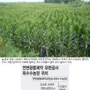 광동농장 이미지