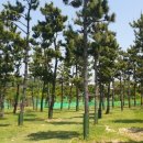 꿈꾸는 노래연습장 이미지