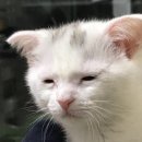 11650-17-30-6 | [W.17] 웨딩 촬영 당일 준비 사항 및 일정 상세 후기 (애브뉴준오, 시작바이이명순, 라앤디스튜디오)