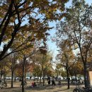 성난 게장 | 내게 즐거움을 주는 것들에 몰두한 덕덕한 11월 일상 (feat. 피크민 입문, 굿즈샵 탐방기)