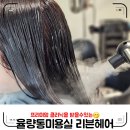 청주 율량동 미용실 하얀디자이너 후기 / 리븐헤어
