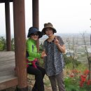 해미중학교 이미지