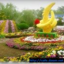 명원무역 Daum카페