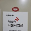 프리덤라이프 이미지