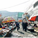 남항대교 하부 이미지