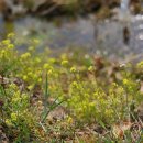 갈담1리 이미지