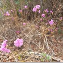 산양 궁항마을 이미지