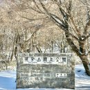 제주푸른병원 | 제주 1100고지 눈꽃 명소 촬영 후기 │ 삿포로말고 제주도 가요!