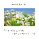 심리상담 세움 | 개인상담 후기 - 박 *