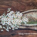 생활그림 천아트 이미지