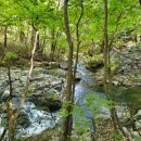 신림면행정복지센터 이미지