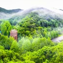 황령산관광지 이미지