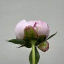 화산동주민센터 이미지