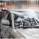 공룡스팀세차