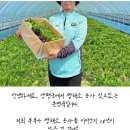 농장스