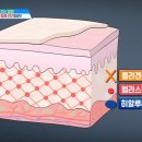 잠실비엘에스의원 이미지