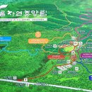 붉은오름자연휴양림1 이미지