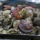 천북굴단지 이미지