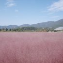 거제시농업개발원 이미지