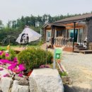 마이산뜰아래 이미지