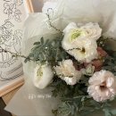 보태니컬 플랜(Botanical Plan)