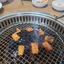 고여사닭갈비닭발