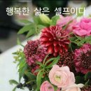 시절인연 이미지