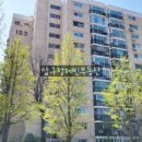 압구정-117 이미지