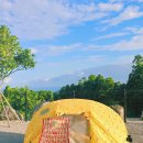 일랑일랑 애견캠핑 인제주 이미지