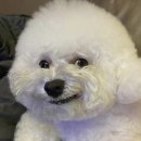 에이스학원 이미지