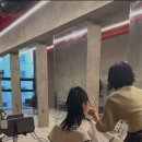 노연스테이 이미지