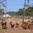 소나농장 이미지