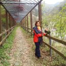 두척계곡 이미지